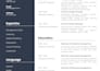 write a professional ats resume that gets you hired